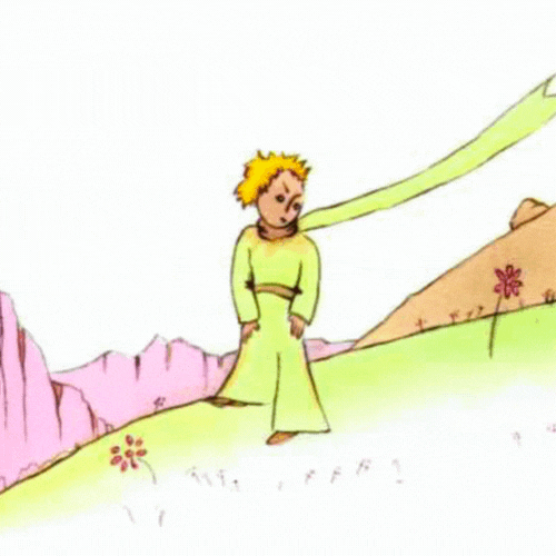 El Principito y la Colibrí