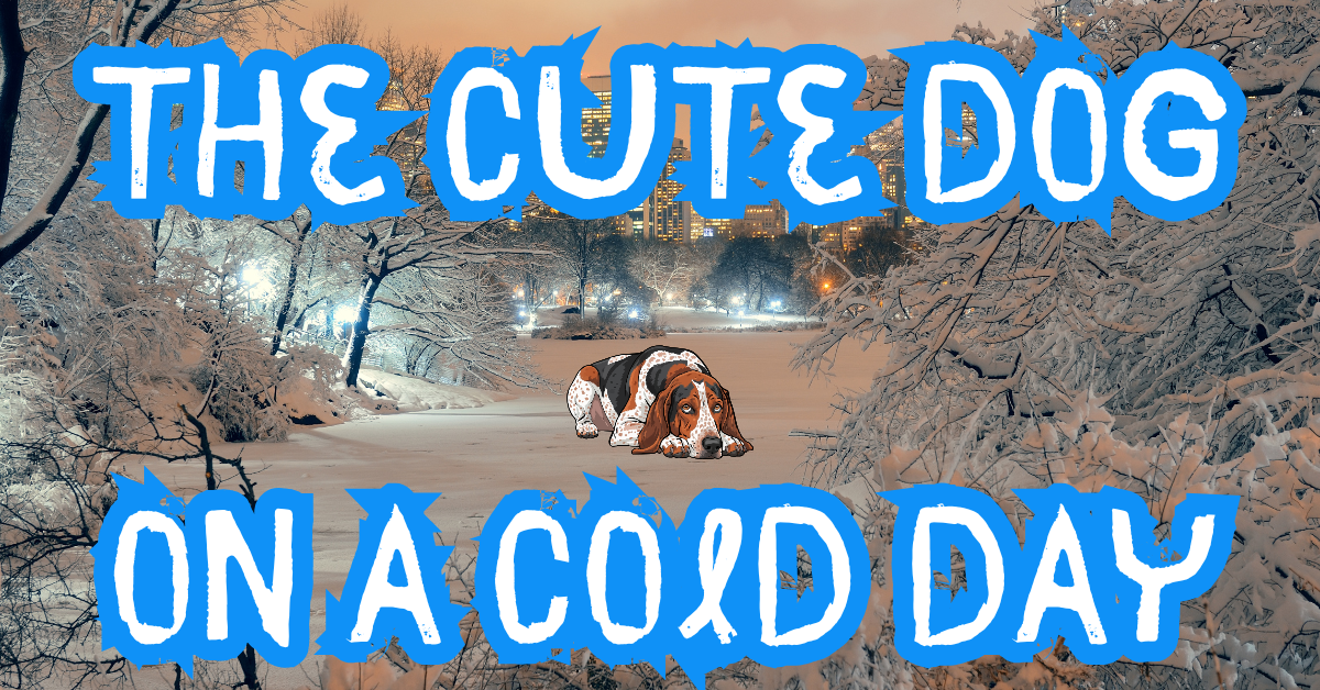 The Cute Dog on a Cold Day